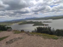 Flora del Cerro Masatrigo